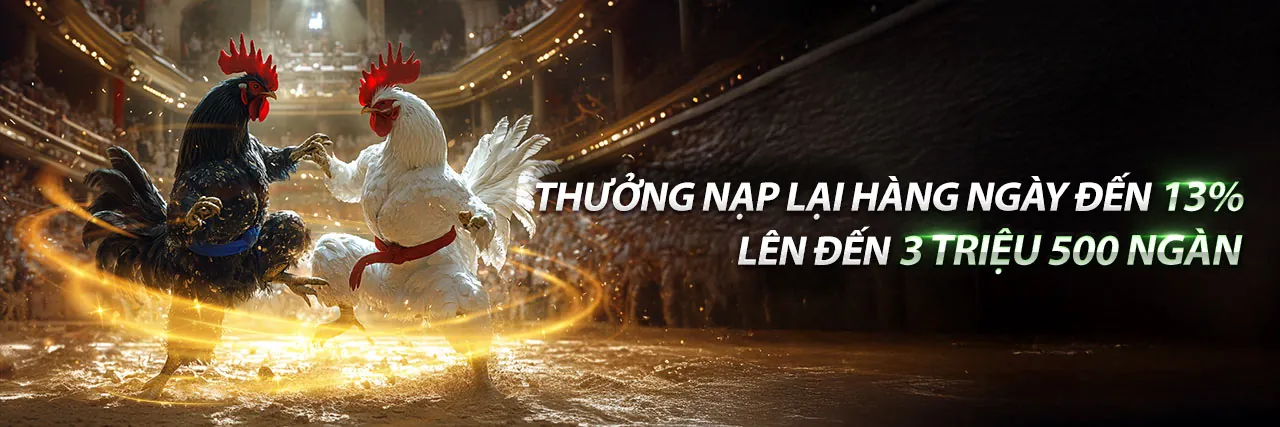 Trực Tiếp Đá Gà Hôm Nay ở Thomo